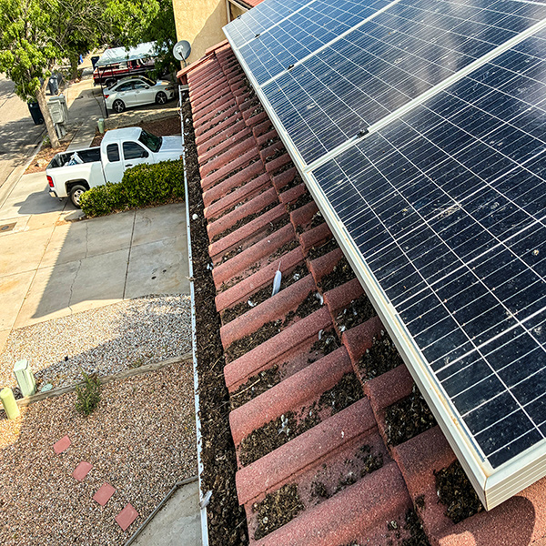 Bird Waste Removal Albuquerque